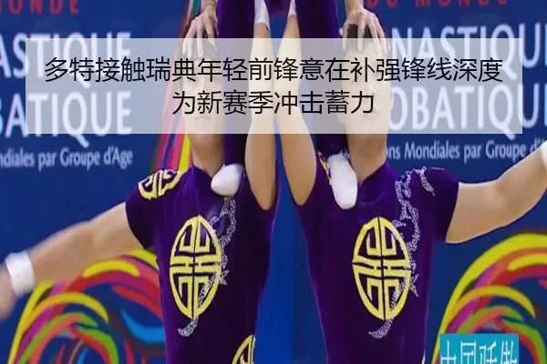 多特接触瑞典年轻前锋意在补强锋线深度为新赛季冲击蓄力 - bet365